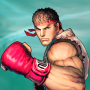 icon Street Fighter IV CE