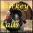 icon Turkey Calls HD(La Turchia chiama HD) 1.82