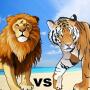 icon Lion Vs Tiger(Lion vs Tiger Wild Animal Simulator Game
)