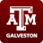 icon TAMUG(Texas A M University Galveston) 2022.08.0800 (build 10609)