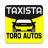 icon Toro Autos Conductor(T.A. TV Driver) 1.0.34
