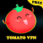 icon Tomato VPN Free: Ultimate Vpn(Tomato VPN Free: Ultimate Vpn, Unblock
) 1.1