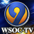 icon WSOC-TV(WSOC-TV Channel 9 News) 8.0.0