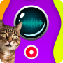 icon Cat Translator Speaker