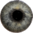 icon Eye Diagnosis(Diagnosi oculare) 1.4.6