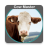 icon Cow Master(Cow Master - Gestione della mandria) 2.3.5