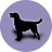 icon Dog(Razze di cani) 2.6.3
