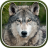 icon Wolf Live Wallpaper 1.0.2