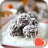 icon Vegetarian recipes(Ricette vegetariane) 5.3
