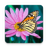 icon Butterflies Live Wallpaper(Farfalla live wallpaper) 1.0.9
