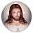 icon Jesus Wallpapers & Audio Bible(Jesus Wallpapers Audio) 1.02