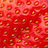 icon Fruit Wallpapers(Sfondi di frutta) 1.0
