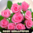 icon Roses flower Wallpapers(Rose Wallpapers Wallpapers V2) 2.0