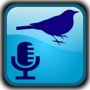 icon BirdUp - birdsong recognition (BirdUp - riconoscimento del canto degli uccelli)
