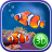icon Coral Fish 3D Live Wallpaper 1.0.2