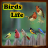 icon Birds Life(La vita degli uccelli) 40.5