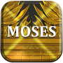icon Moses dom(Mosè il combattente per la libertà)