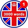 icon 3000 Words(3000 parole: aprende in italiano)