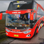 icon Indonesia Bus Simulator : Bus Livery Master(Indonesia Bus Simulator : Bus Livery Master
)