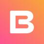 icon BRD(BRD Bitcoin Wallet Bitcoin BTC)
