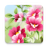 icon Flowers Live Wallpaper(Fiori Wallpaper) 1.0.9