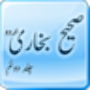 icon ShahiBukhari(Sahih al Bukhari Book-2 (Urdu))