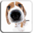 icon Dog Licks Screen LWP (SCHERMO DI LICCHINE DEL CANE LWP FREE) 1.2