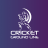icon Cricket Ground Line(Cricket Ground Line
) 1.0.2