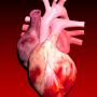 icon Circulatory System 3D Anatomy (Circulatory System 3D Anatomy Dental)