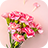 icon Pink Carnations(Tema garofani rosa) 1.0.1