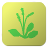icon com.macchisoft.newsimpleplantlist(Lista dei fiori selvaggi Japnese) 1.6.2