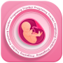 icon Pregnancy(Gravidanza Tracker settimana per settimana
)