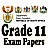 icon Grade 11(Grade 11 Past Papers and Guide
) 2.17