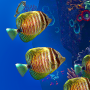 icon OCEAN AQUARIUM(Adesivi Ocean Aquarium)