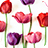 icon Tulip Pattern(Flower Wallpaper Tulip Pattern Theme
) 1.0.0