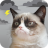 icon Grumpy Weather(Tempo di gatto scontroso) 5.8.6