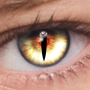 icon FoxEyesChange Eye Color(FoxEyes - Cambia colore degli occhi)