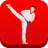 icon Taekwondo Workout(Allenamento di Taekwondo a casa
) 1.08