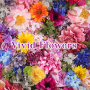 icon Vivid Flowers(Bellissimo sfondo Vivid Flowers Tema
)