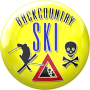 icon Backcountry Ski Lite