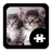 icon Cats & Kittens Puzzle(Cats Kitten Puzzle) 1.5.1