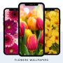 icon Flowers Wallpaper HD(Fiori Sfondi
)