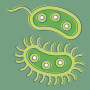 icon Bacteria(Batteri: tipi, infezioni)