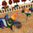 icon Chicken Fighting Game(Rooster Fighting Angry Chicken
) 1.4