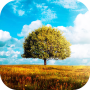 icon Awesome Land 2 Free(Awesome-Land 2 live wallpaper: Plant a Tree !!)
