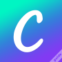 icon Canva Guide(Guide for Canva: Graphic Design Video
)