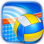 icon Volleyball()