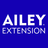 icon AILEY(Estensione AILEY) 5.3.6