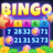 icon Bingo Night(Bingo Night: Lucky Games
) 1.0.1
