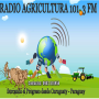 icon Radio Agricultura Fm(Radio Agricoltura Curuguaty -)